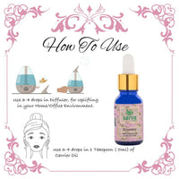 https://cdn.shopify.com/s/files/1/1857/6931/products/1x71IdTzJc.jpg?v=1670652454