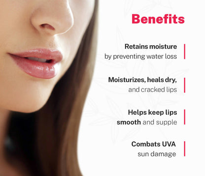 https://cdn.shopify.com/s/files/1/1857/6931/products/1xsA2TFd92.jpg?v=1713161580
