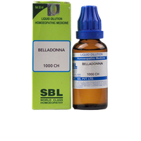 https://cdn.shopify.com/s/files/1/1857/6931/products/2000-1-400-removebg-preview.png?v=1737559977
