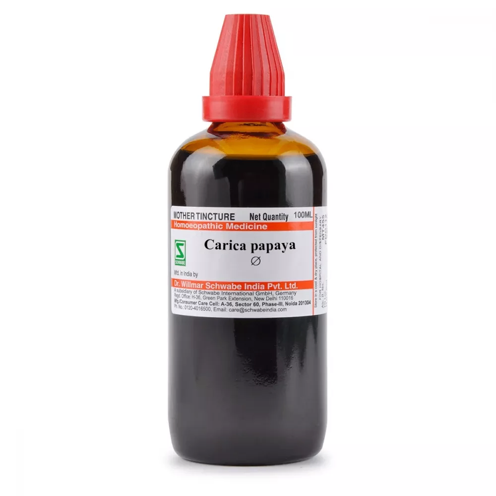 Image 2 of 100 ml for the product Dr. Willmar Schwabe India Carica Papaya Mother Tincture Q
