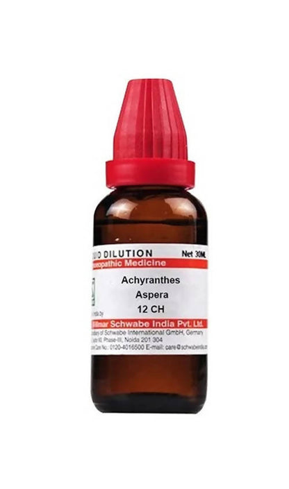 https://cdn.shopify.com/s/files/1/1857/6931/products/22re5nSuJ1.jpg?v=1640859694