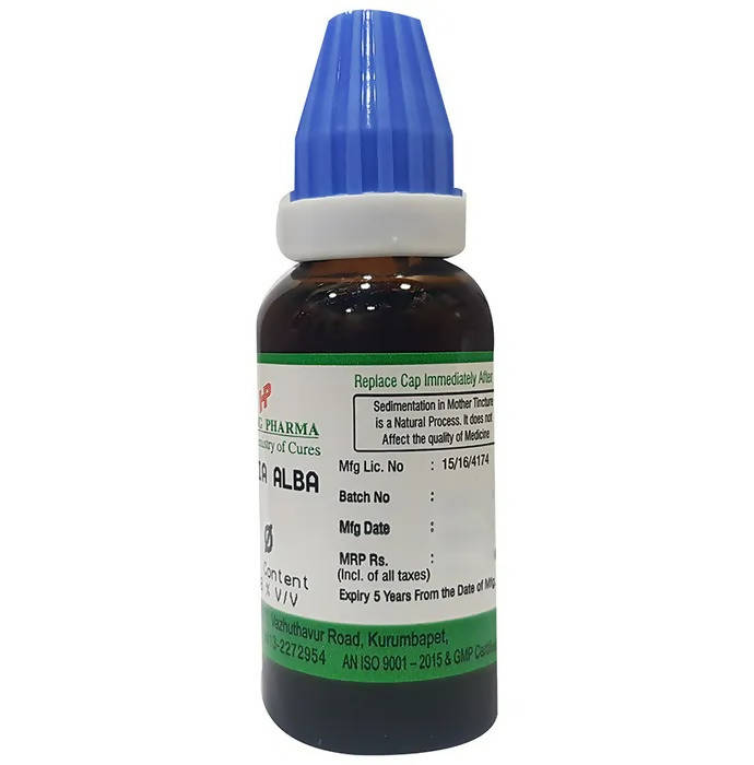 https://cdn.shopify.com/s/files/1/1857/6931/products/22sWcU1nxd.jpg?v=1660800231