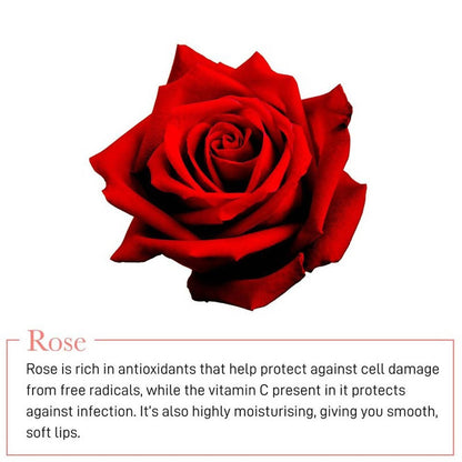 https://cdn.shopify.com/s/files/1/1857/6931/products/22szFIR0ZP.jpg?v=1619145285