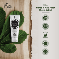 https://cdn.shopify.com/s/files/1/1857/6931/files/23gq6RDx0n.png?v=1745644399