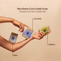 https://cdn.shopify.com/s/files/1/1857/6931/files/2434mMmI5z.png?v=1727182258