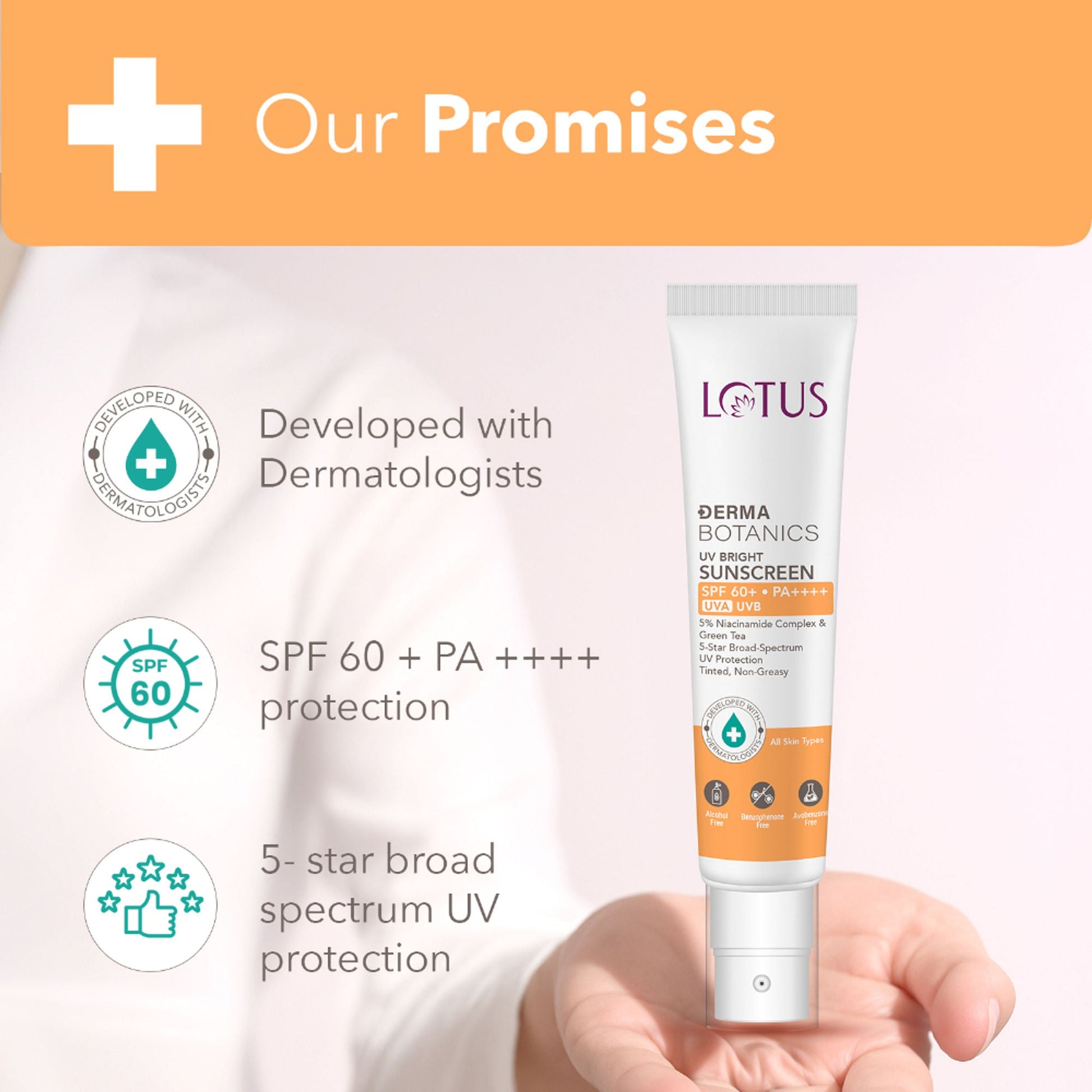 https://cdn.shopify.com/s/files/1/1857/6931/files/2485b888909250004986_3.jpg?v=1758519253
