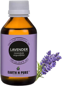 https://cdn.shopify.com/s/files/1/1857/6931/products/248OF3IlVq.jpg?v=1646137985