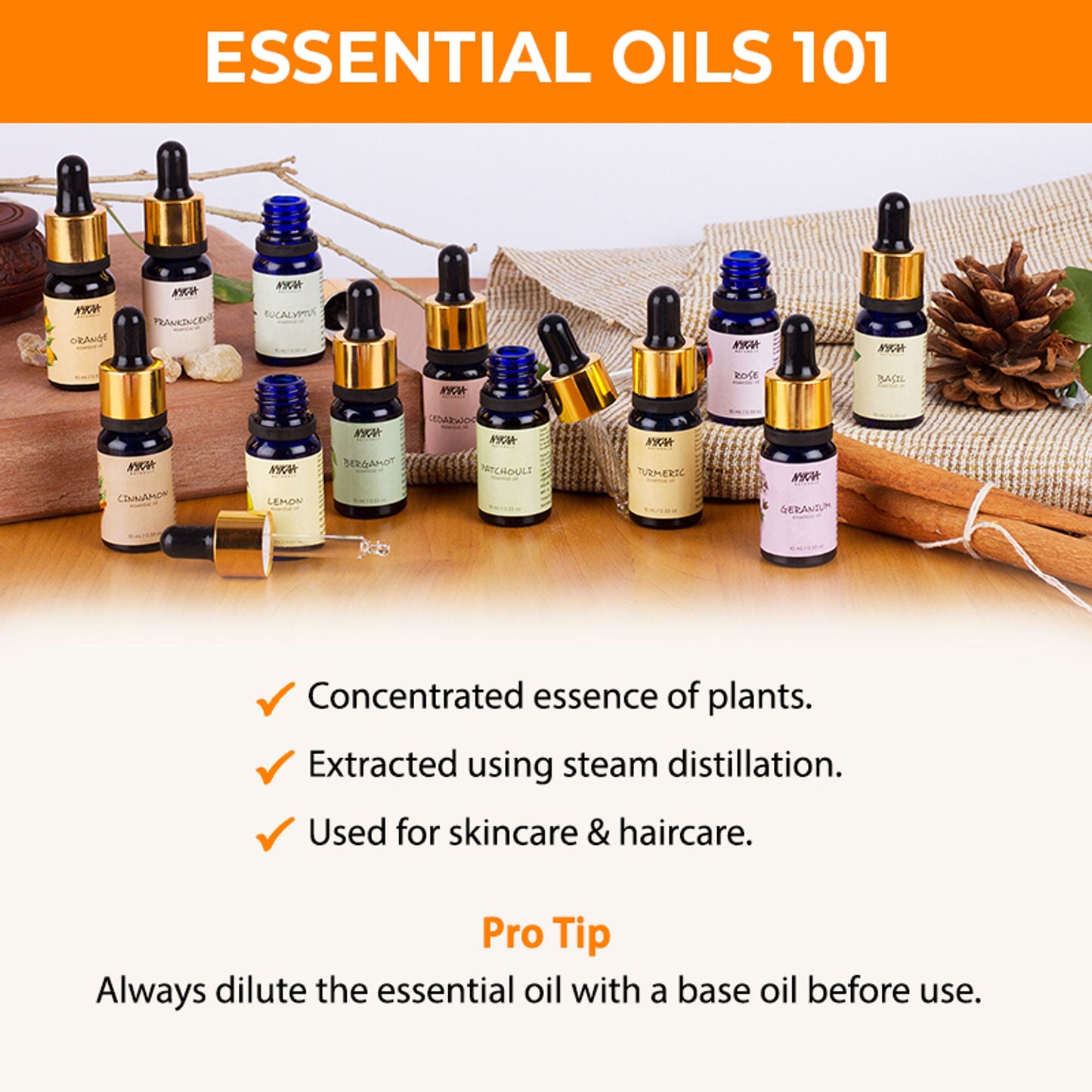 https://cdn.shopify.com/s/files/1/1857/6931/files/2498ef48904245703912_5.jpg?v=1770721784