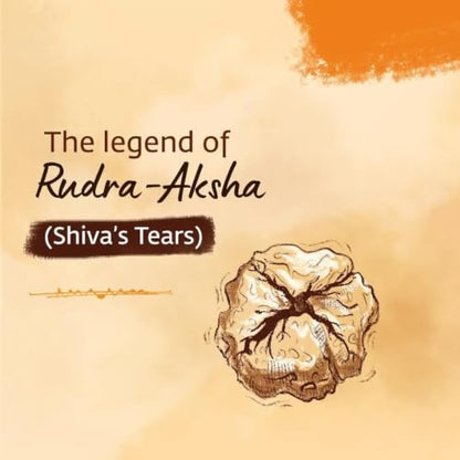Image 10 of Isha Life Panchmukhi Rudraksha Mala