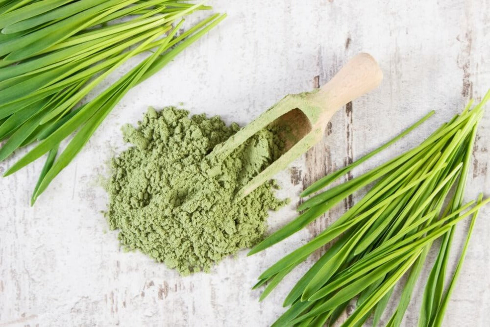 https://cdn.shopify.com/s/files/1/1857/6931/products/24mantraorganicwheatgrasspowder3.jpg?v=1622618667