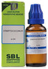 https://cdn.shopify.com/s/files/1/1857/6931/products/25GKrz9Oie.jpg?v=1635167546