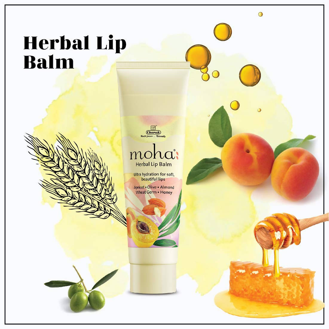 https://cdn.shopify.com/s/files/1/1857/6931/products/25y1za6Zwu.jpg?v=1630671880