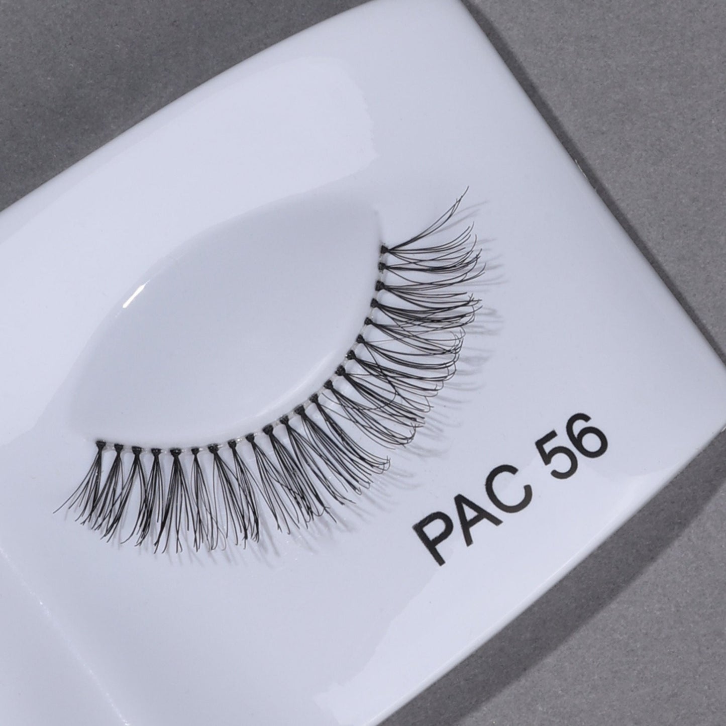 https://cdn.shopify.com/s/files/1/1857/6931/files/26425a1NYPAC00000228_2.jpg?v=1768388423