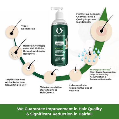 https://cdn.shopify.com/s/files/1/1857/6931/products/26nnFoelPl.jpg?v=1643018770