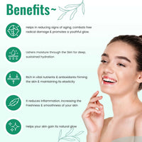 https://cdn.shopify.com/s/files/1/1857/6931/files/26tLfbEaNu.jpg?v=1728132258