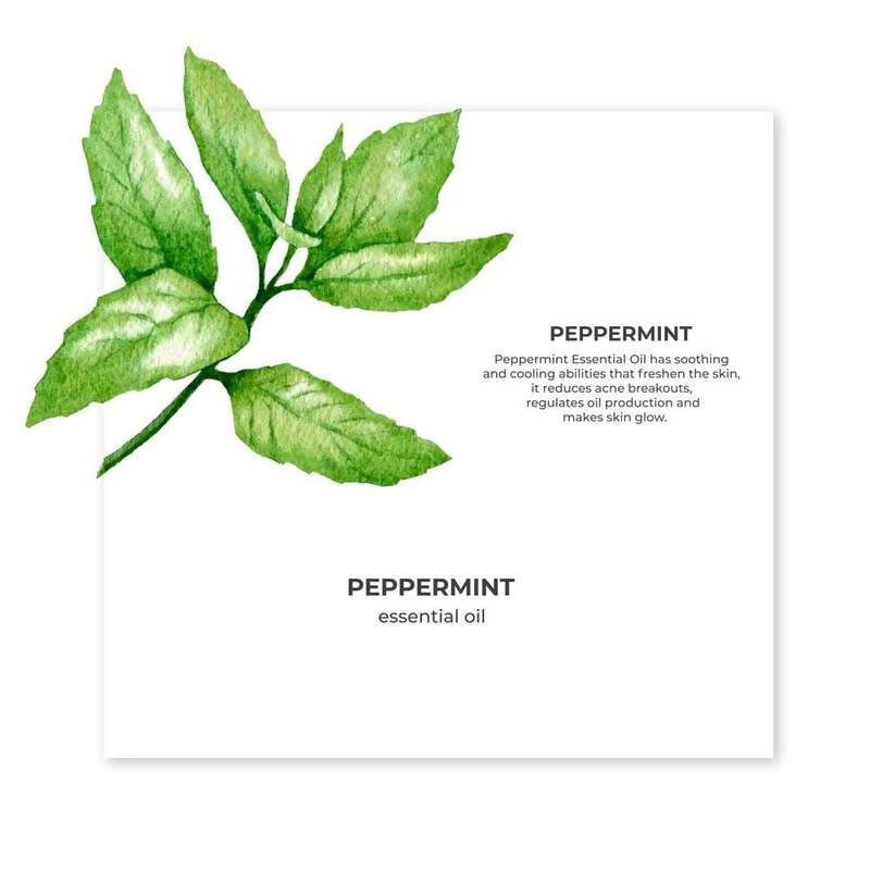 https://cdn.shopify.com/s/files/1/1857/6931/products/27EAClD5AV.jpg?v=1627008175