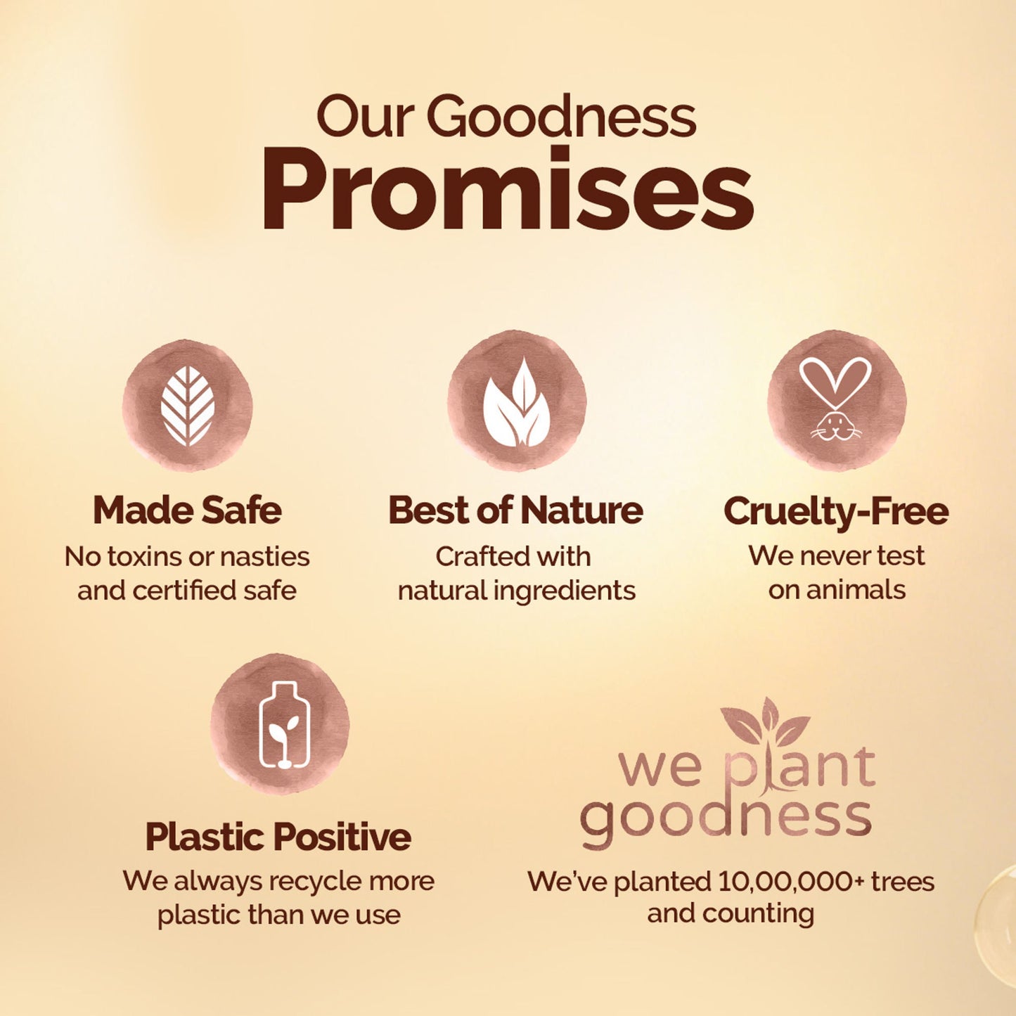 https://cdn.shopify.com/s/files/1/1857/6931/files/28f0cd48904417321760_6.jpg?v=1779951830