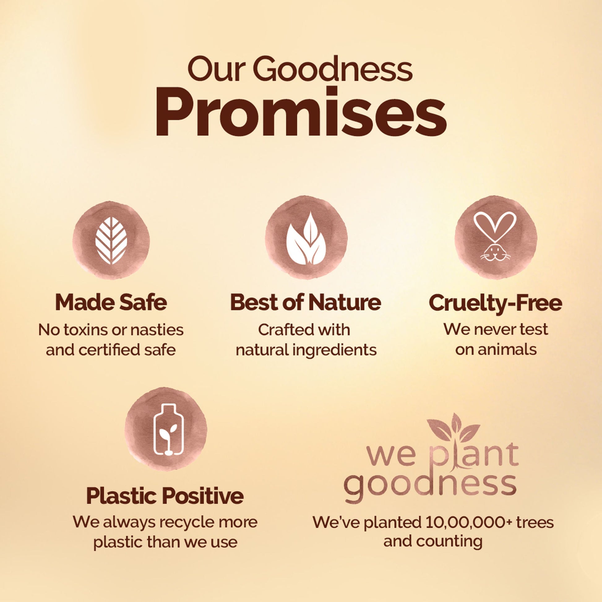 https://cdn.shopify.com/s/files/1/1857/6931/files/28f0cd48904417321791_7.jpg?v=1779951833