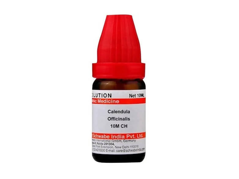 https://cdn.shopify.com/s/files/1/1857/6931/products/29MYdQ4HoX.jpg?v=1641302624