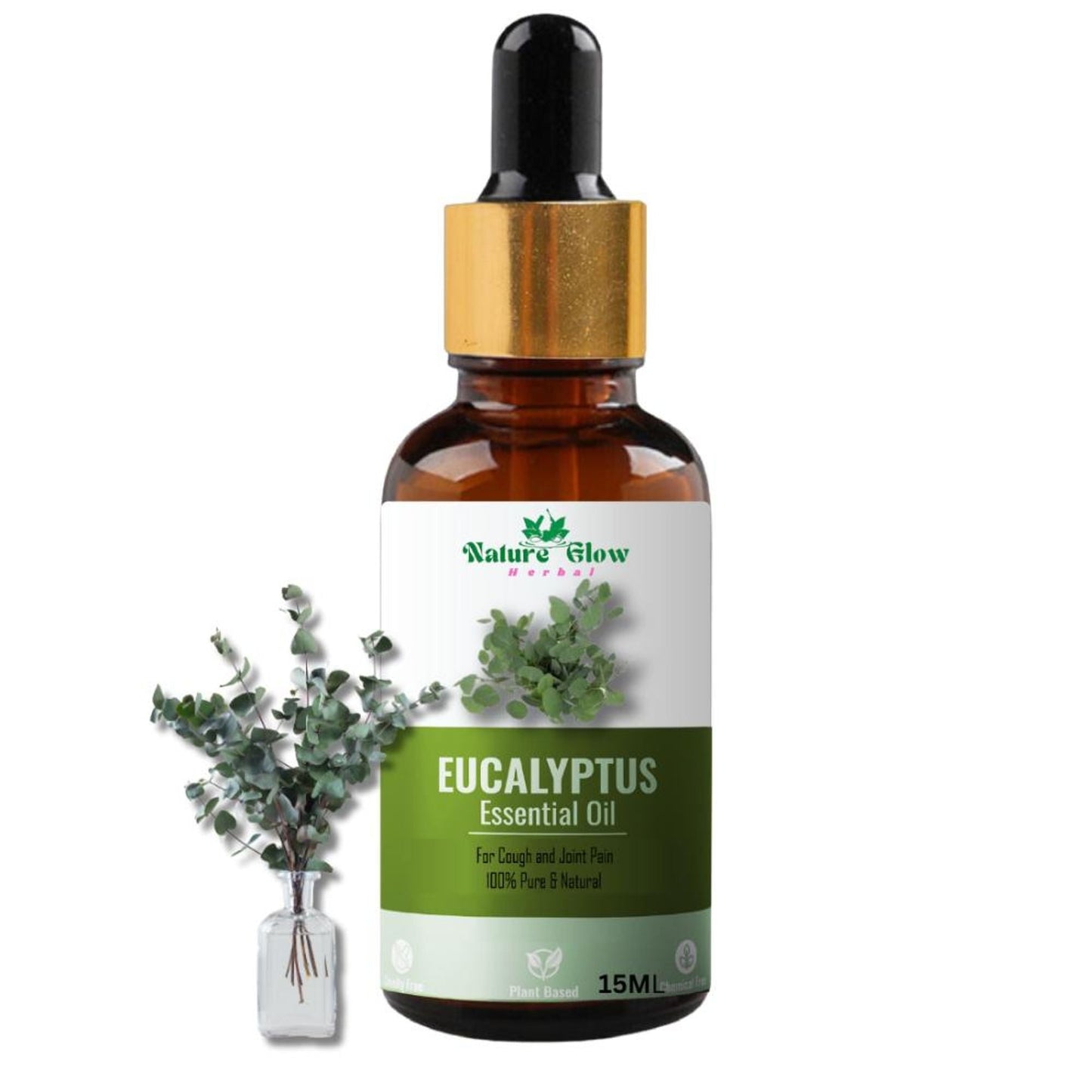 https://cdn.shopify.com/s/files/1/1857/6931/files/29edf148906143106833_1.jpg?v=1770707614
