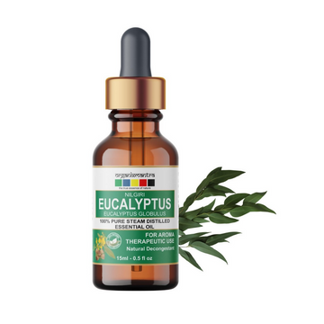 https://cdn.shopify.com/s/files/1/1857/6931/files/29jjwgSwSl.png?v=1723114201