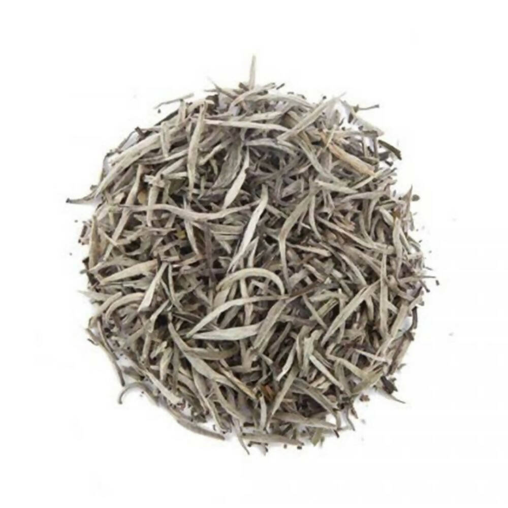 https://cdn.shopify.com/s/files/1/1857/6931/products/2AJQhILlB9.jpg?v=1679553046