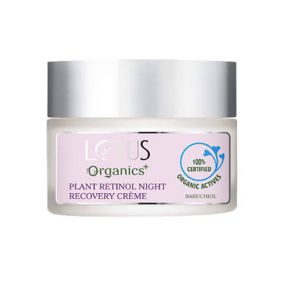 https://cdn.shopify.com/s/files/1/1857/6931/products/2Bc4pdWu5N.jpg?v=1648461288