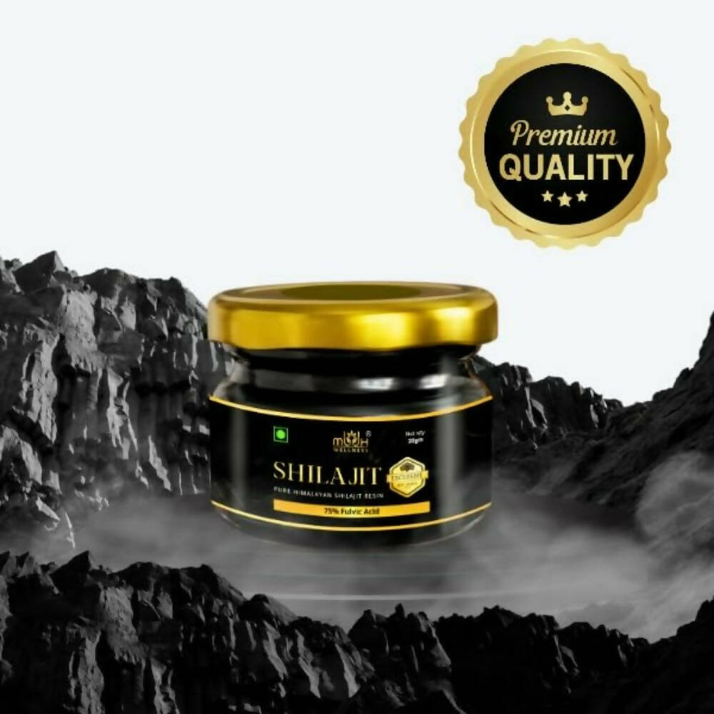 https://cdn.shopify.com/s/files/1/1857/6931/products/2EBZT9gY71.jpg?v=1693890335