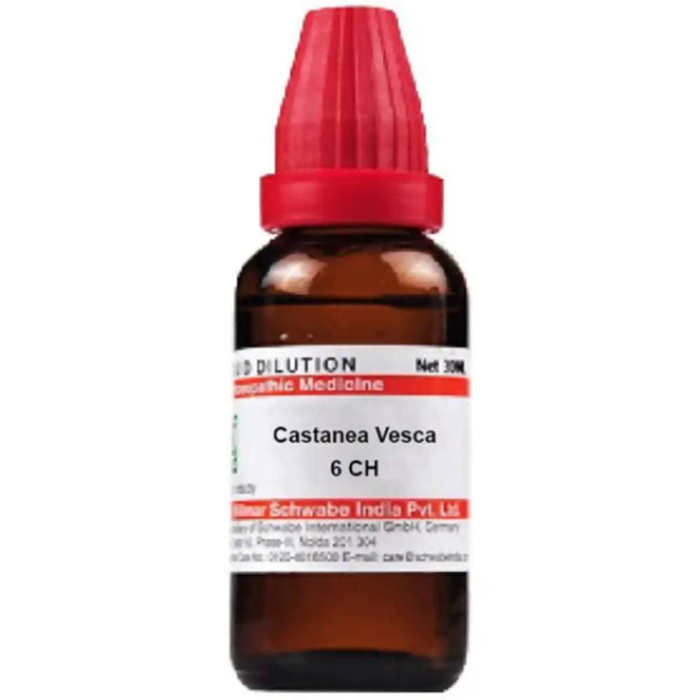 https://cdn.shopify.com/s/files/1/1857/6931/products/2ER1eIjDos.jpg?v=1613912200
