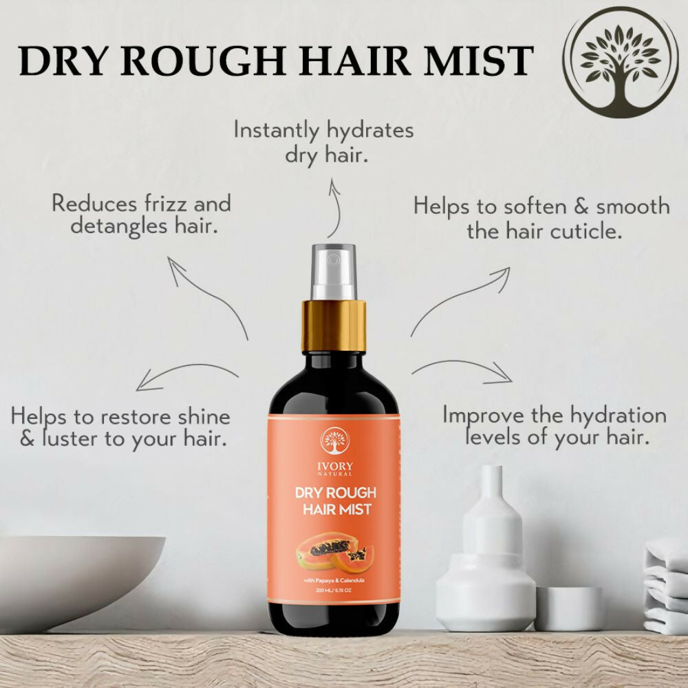 https://cdn.shopify.com/s/files/1/1857/6931/files/2ET6tsH5LP.jpg?v=1717584587