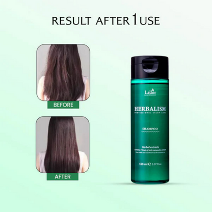 https://cdn.shopify.com/s/files/1/1857/6931/files/2GK7Q7fjqV.png?v=1766741995