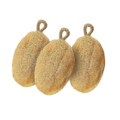 https://cdn.shopify.com/s/files/1/1857/6931/products/2GVd5tf2sh.jpg?v=1738732004
