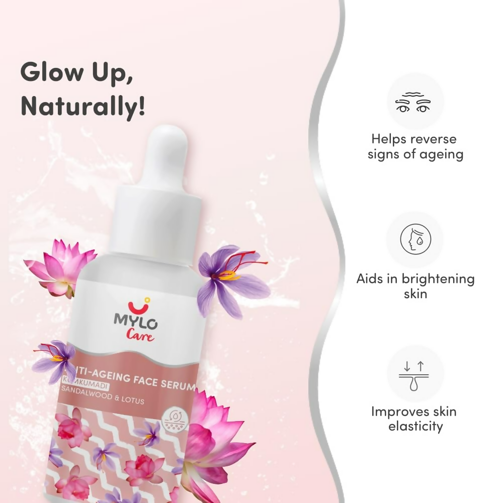 https://cdn.shopify.com/s/files/1/1857/6931/files/2Gb2Kl6CWS.png?v=1737722321
