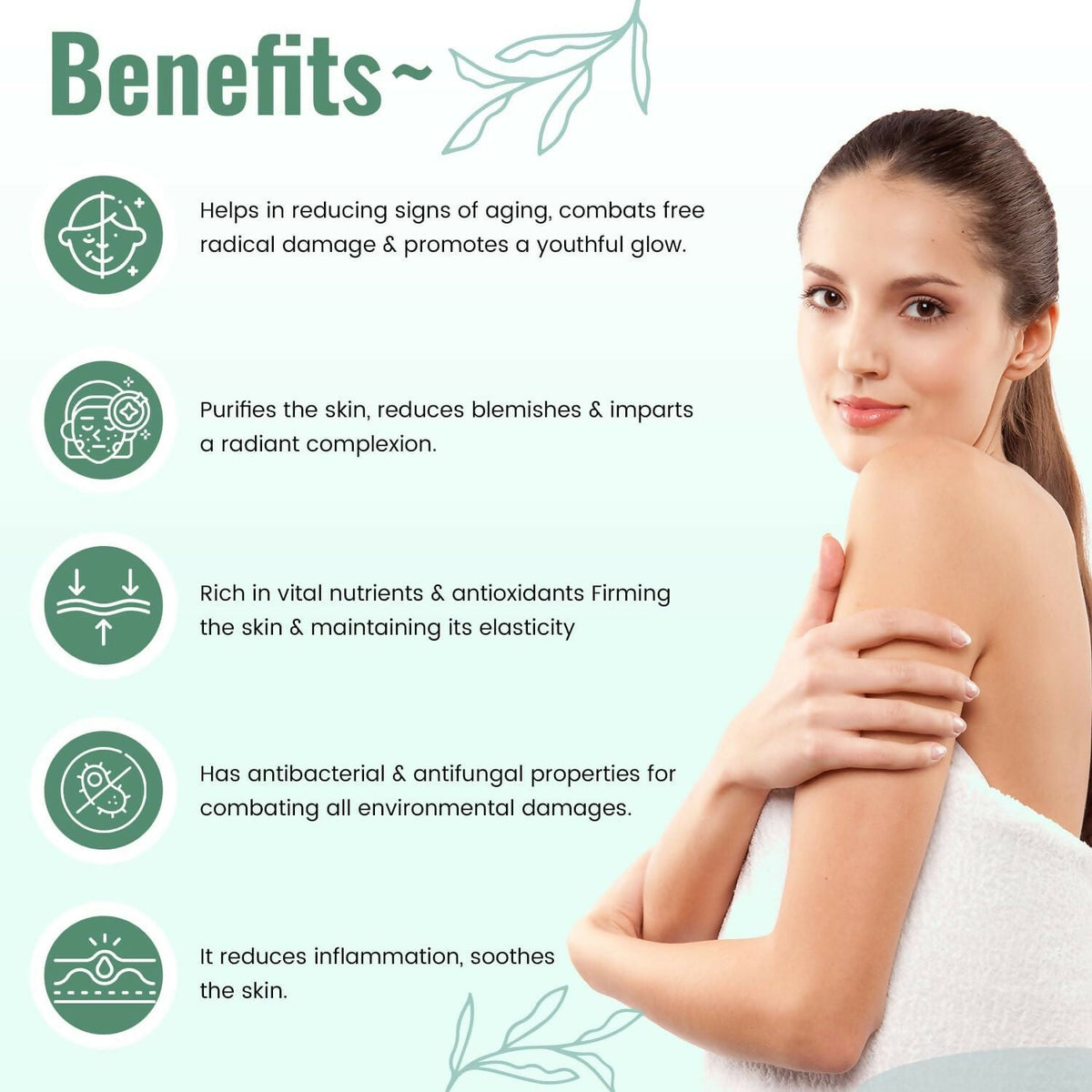 https://cdn.shopify.com/s/files/1/1857/6931/files/2H4dNk4dXP.jpg?v=1728132193