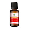 https://cdn.shopify.com/s/files/1/1857/6931/products/2HyyU1Y9Xq.jpg?v=1759347388