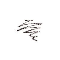 https://cdn.shopify.com/s/files/1/1857/6931/files/2KILEsaCZf-383142.png?v=1736147221