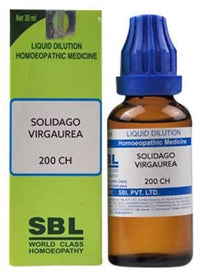 https://cdn.shopify.com/s/files/1/1857/6931/products/2N4wdlDW1K.jpg?v=1635168119