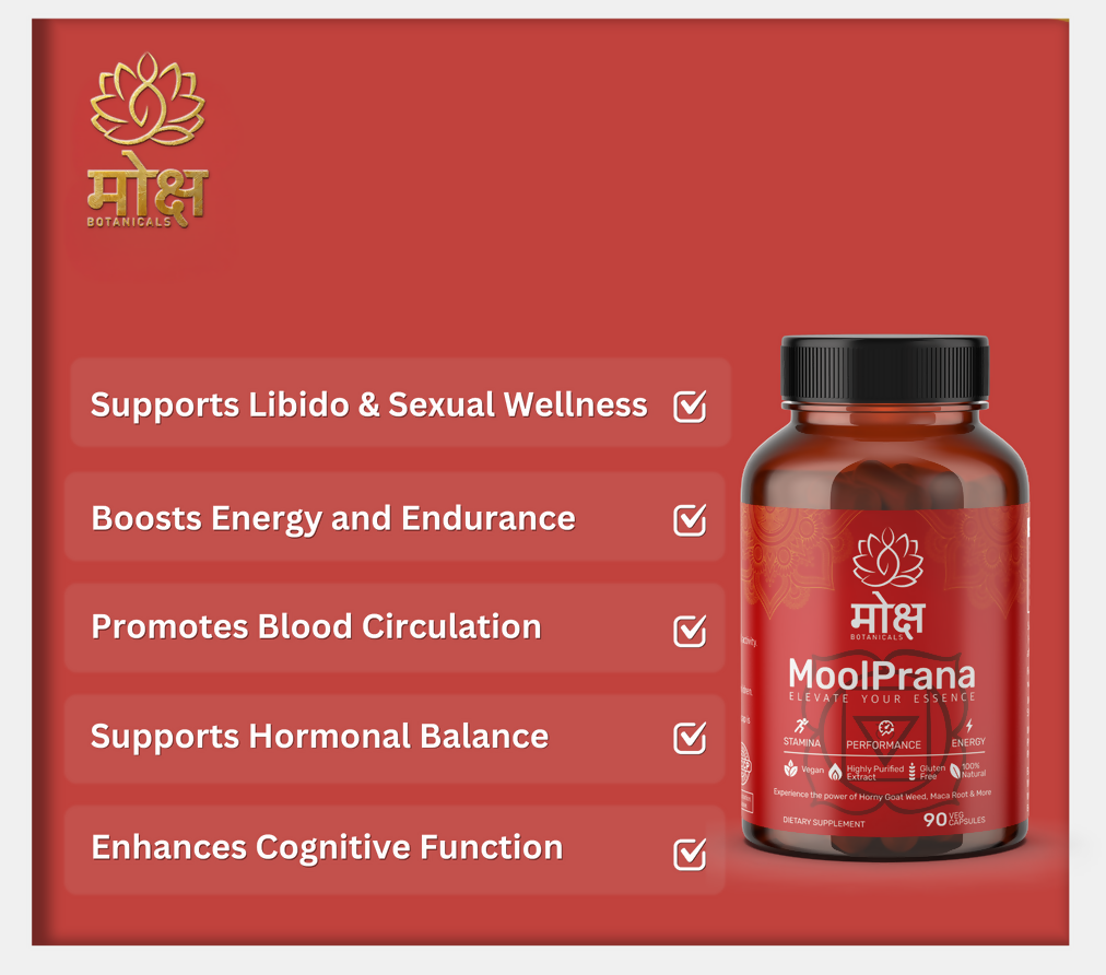 https://cdn.shopify.com/s/files/1/1857/6931/files/2OOdTdL6mZ.png?v=1728047863
