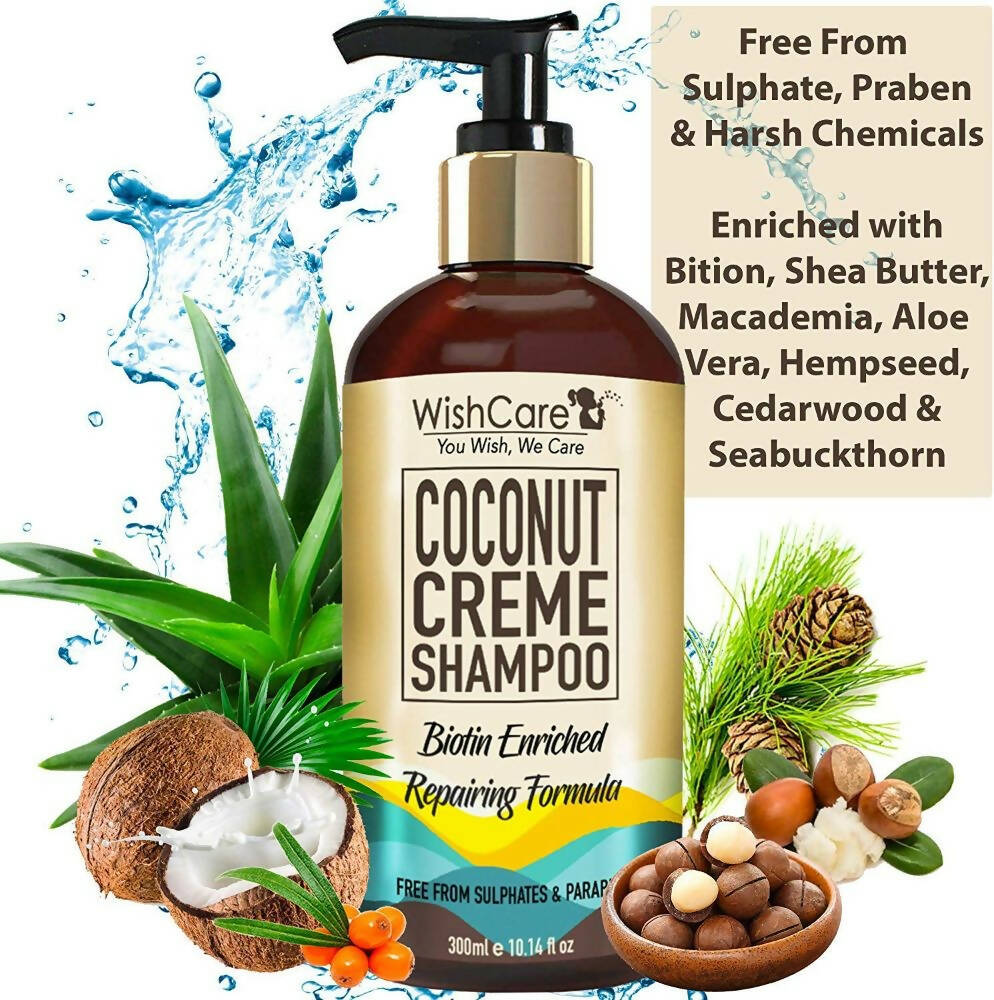 https://cdn.shopify.com/s/files/1/1857/6931/products/2QufJ6SB4u.jpg?v=1686295918