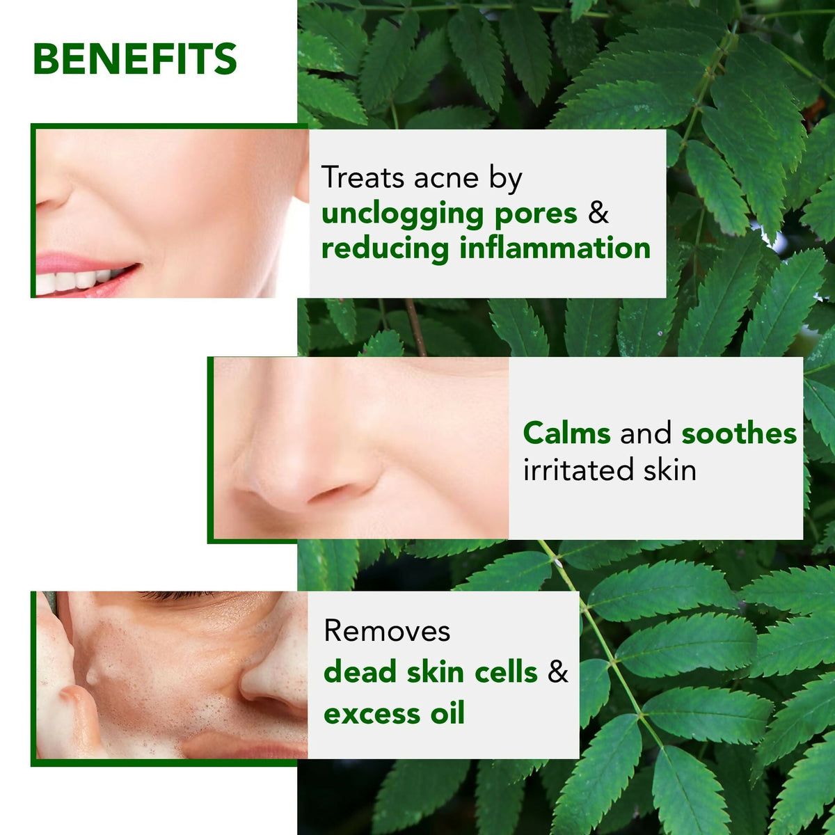 Image 4 of Botanic Hearth Neem, Cica & Salicylic Acid Cleanser Face Wash