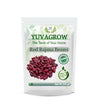 https://cdn.shopify.com/s/files/1/1857/6931/products/2TSddEhO96.jpg?v=1762387364