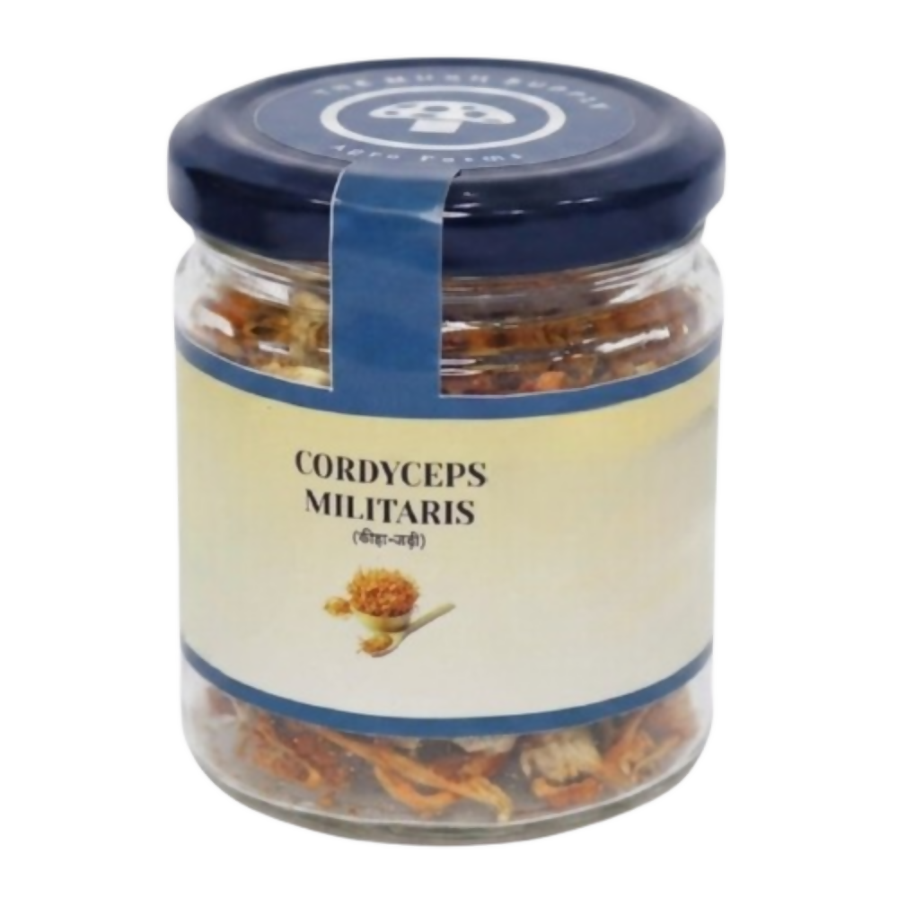 Image 2 of 50 gm for the product The Mush Supply Agro Farms Cordyceps Dried Fruiting Body