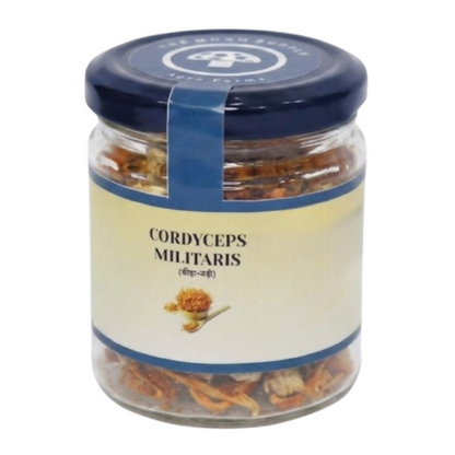 Image 2 of 50 gm for the product The Mush Supply Agro Farms Cordyceps Dried Fruiting Body
