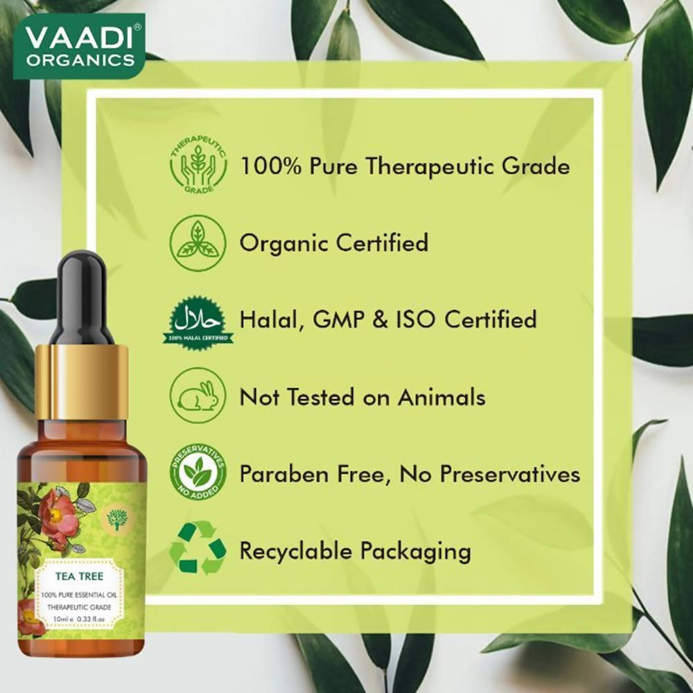 https://cdn.shopify.com/s/files/1/1857/6931/products/2UXPKEGXU6.jpg?v=1618540038
