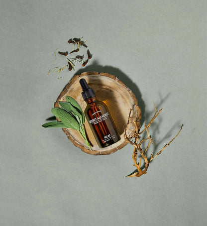 https://cdn.shopify.com/s/files/1/1857/6931/products/2VCdGKU8zP.jpg?v=1683632659
