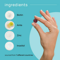 https://cdn.shopify.com/s/files/1/1857/6931/files/2VTlgjLAOn.png?v=1730195001