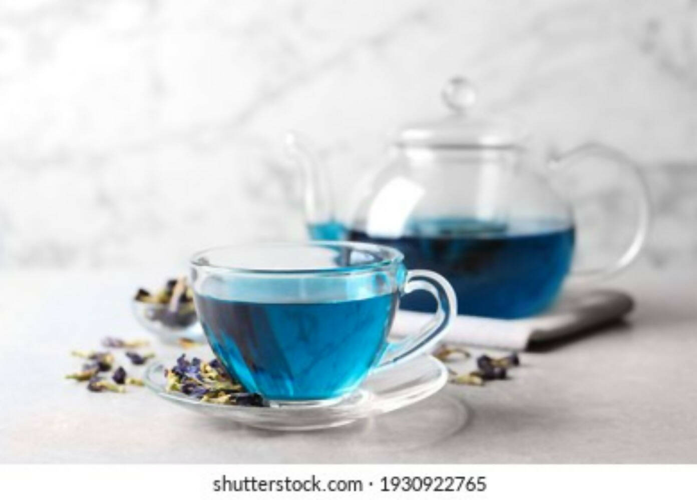 https://cdn.shopify.com/s/files/1/1857/6931/products/2WDCUcb7Az.jpg?v=1703049845