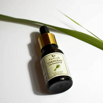 https://cdn.shopify.com/s/files/1/1857/6931/products/2YL2BiVznM.jpg?v=1633055548