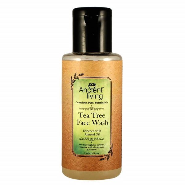 https://cdn.shopify.com/s/files/1/1857/6931/files/2YTOG6en5D-470163.jpg?v=1736147461