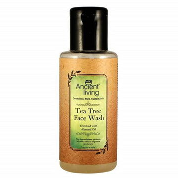 https://cdn.shopify.com/s/files/1/1857/6931/files/2YTOG6en5D-470163.jpg?v=1736147461